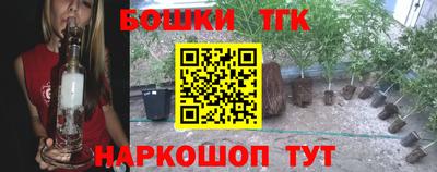амф Новокубанск
