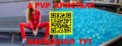 гашик Новозыбков